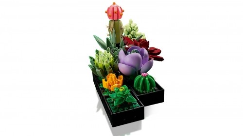 LEGO ICONS 10309 SUCCULENTS image 4