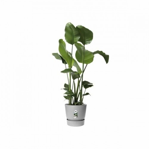 Plant pot Elho Grey Plastic Circular Modern Ø 47 cm image 4