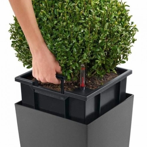 Self-watering flowerpot Lechuza Brown 39,5 x 39,5 x 75,5 cm Plastic Rectangular image 4