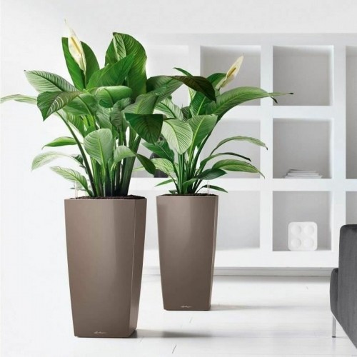 Plant pot Lechuza 50 x 50 x 95 cm Plastic Rectangular image 4