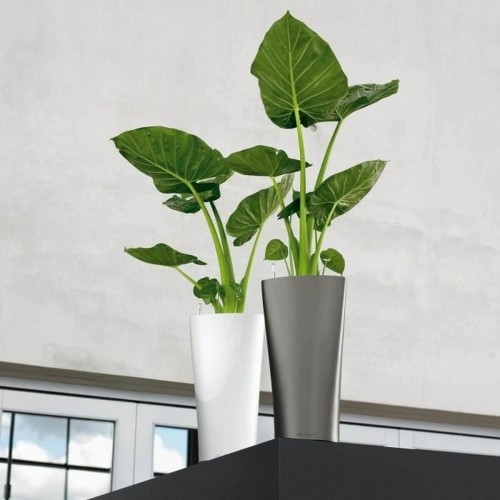 Plant pot Lechuza 40 x 40 x 76 cm Plastic image 4