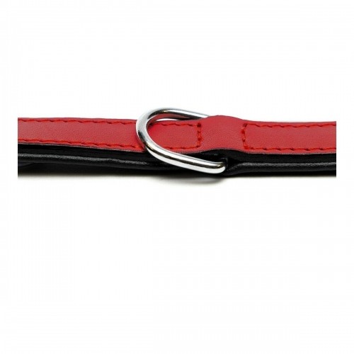 Dog collar Gloria Padded Red (35 x 1,5 cm) image 4