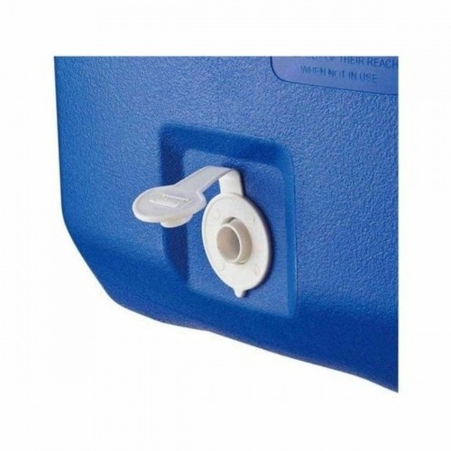 Portable Fridge Coleman Blue Plastic 45 L image 4