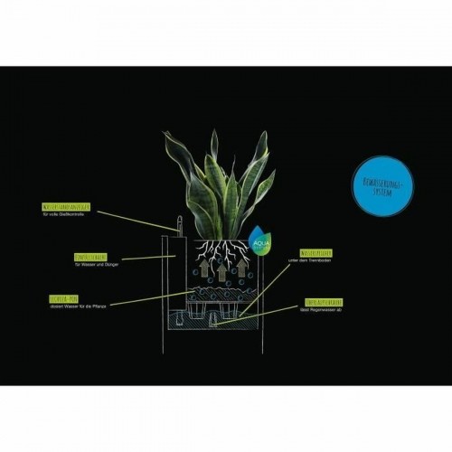 Plant pot Lechuza 40 x 40 x 40 cm polypropylene Plastic image 4