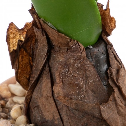 Bigbuy Home Декоративное растение полиэстер полиэтилен Железо меламин 9,5 x 9,5 x 29 cm image 4