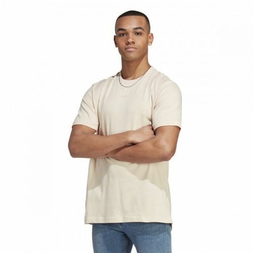 Vīriešu Krekls ar Īsām Piedurknēm Adidas All Szn Bēšs image 4