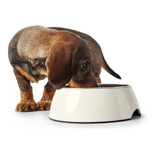 Кормушка для собак Hunter Нержавеющая сталь меламин Белый (18,5 x 18,5 x 9,5 cm) image 5