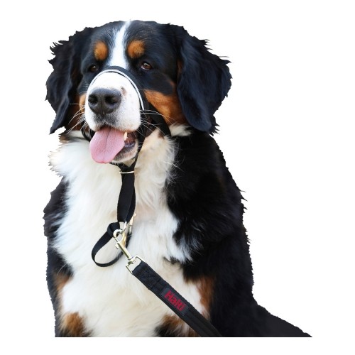 Dog Training Collars Company of Animals Halti Black Muzzle (40-54 cm) image 5