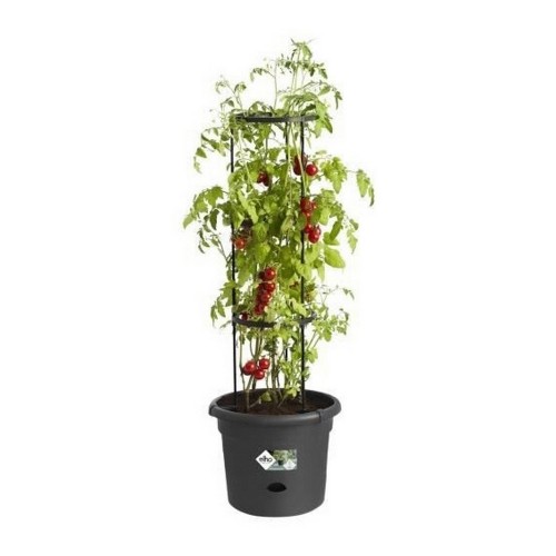 Plant pot Elho Basics Tomato Black (Ø 33 cm) image 5