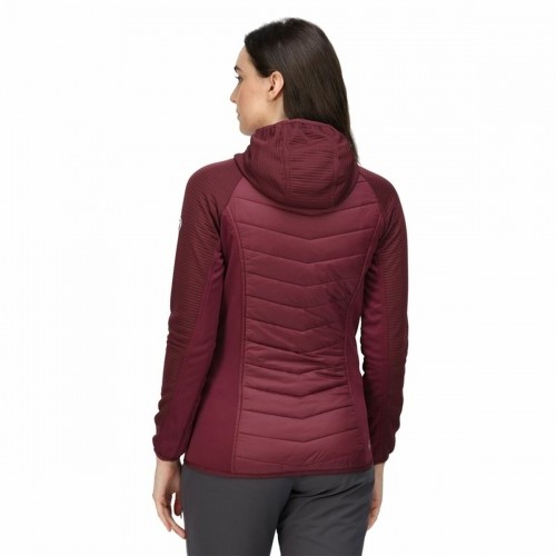 Women's Sports Jacket Regatta Andreson VI Hybrid Dark Red image 5