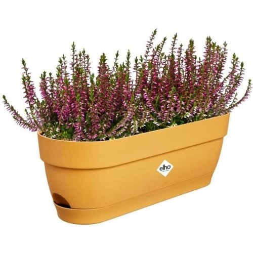 Наружный ящик для растений Elho   50 cm Прямоугольный Пластик image 5