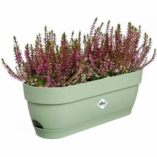 Наружный ящик для растений Elho   50 cm Прямоугольный Зеленый Пластик image 5