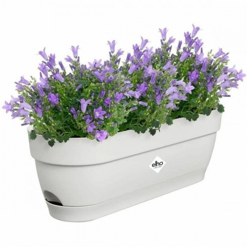 Наружный ящик для растений Elho   50 cm Белый Прямоугольный Пластик image 5