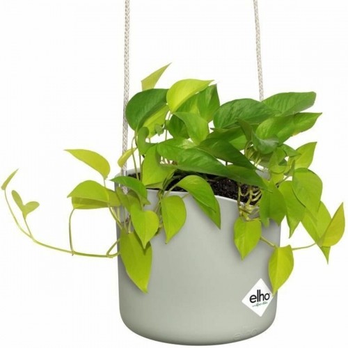 Подвесной горшок для растений Elho   Круглая Зеленый Пластик Ø 18 cm image 5