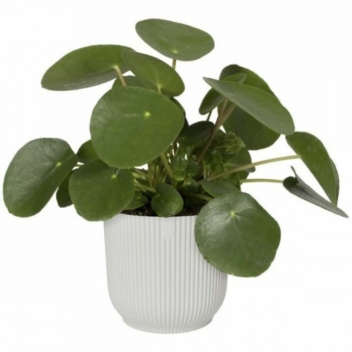 Plant pot Elho   Ø 22 cm White Plastic Circular image 5