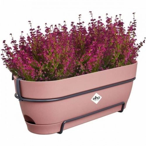 Наружный ящик для растений Elho   50 cm Прямоугольный Розовый Пластик image 5
