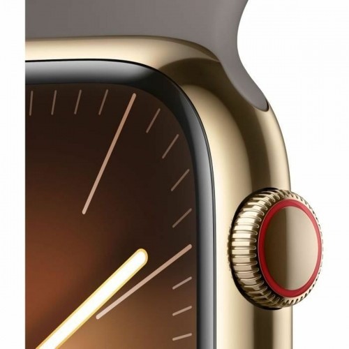 Умные часы Apple Series 9 Коричневый Позолоченный 45 mm image 5