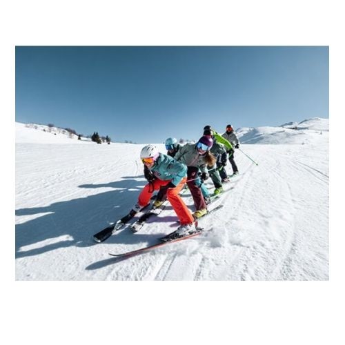 Elan Skis Element W LS EL 9.0 GW / Zila / 152 cm image 5
