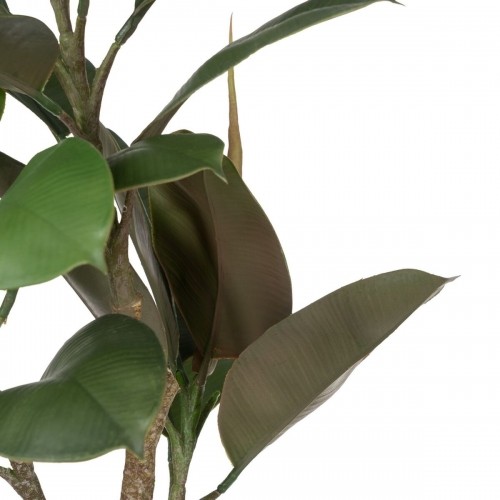 Bigbuy Home Декоративное растение полиэтилен Железо PEVA Дуб 76 cm image 5