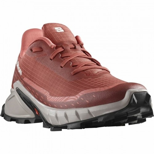 Sports Trainers for Women Salomon Alphacross 5 Red image 5