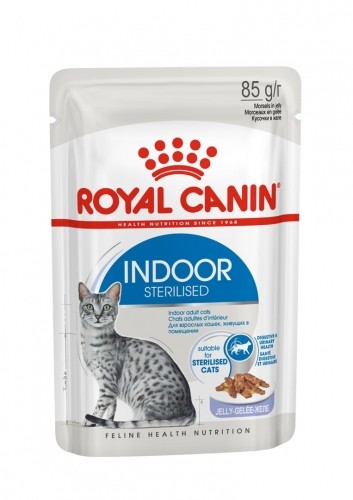 ROYAL CANIN FHN Indoor jelly - wet food for adult cats - 12x85g image 5