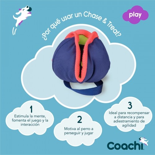 Training toy Coachi CHASE & TREAT Синий image 5