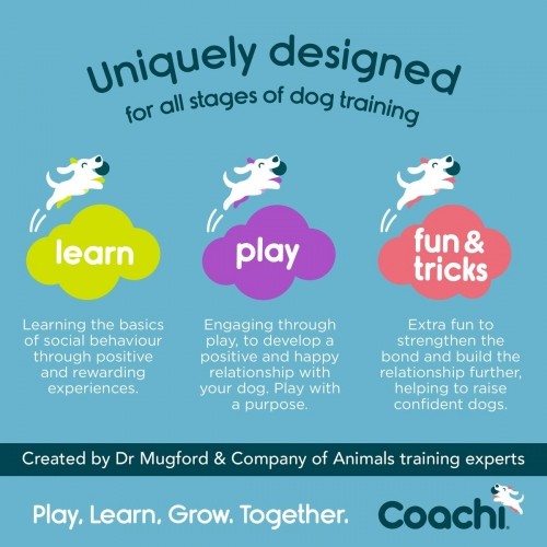 Training toy Coachi TRAINING DUMMY Zils image 5