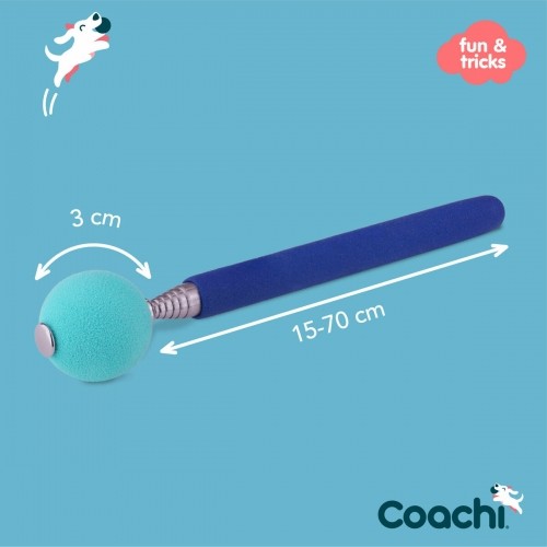 Training toy Coachi Stick Blue image 5