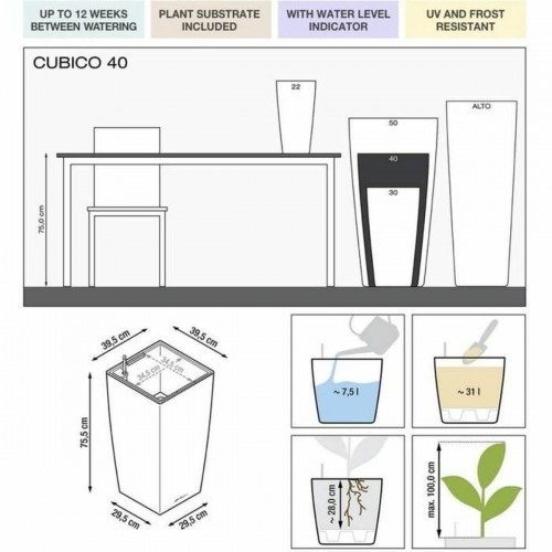 Pašlaistīšanas katls Lechuza Sarkans 39,5 x 39,5 x 75,5 cm polipropilēns Plastmasa Taisnstūra image 5