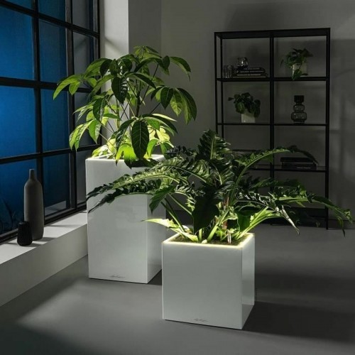 Plant pot Lechuza 40 x 40 x 40 cm White (1 Unit) image 5