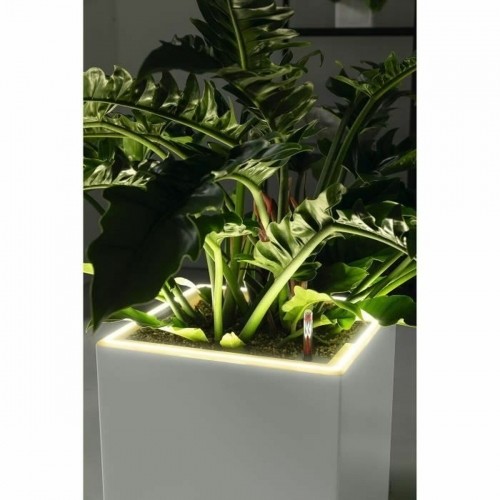 Plant pot Lechuza 40 x 40 x 76 cm Silver (1 Unit) image 5