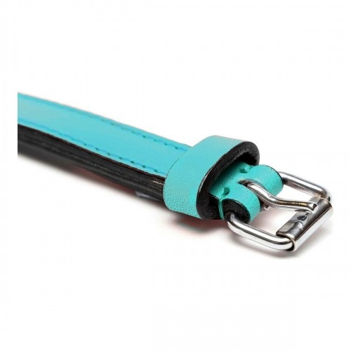 Dog collar Gloria Padded Turquoise (35 x 1,5 cm) image 5