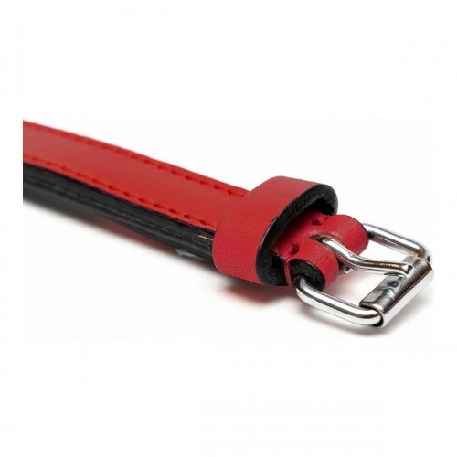 Dog collar Gloria Padded Red (35 x 1,5 cm) image 5