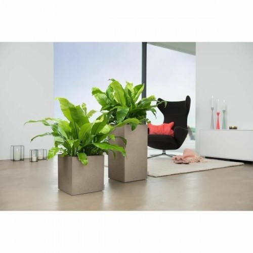 Plant pot Lechuza 40 x 40 x 40 cm polypropylene Plastic image 5
