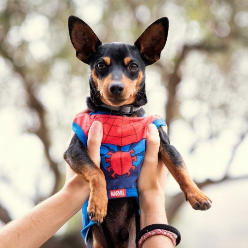 Dog T-shirt Spider-Man image 5