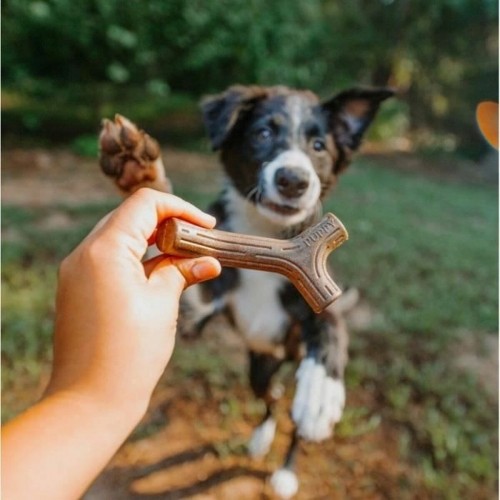 Dog chewing toy Benebone Brown animals image 5