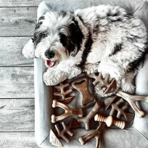 Košļājamā rotaļlieta suņiem Benebone Brūns dzīvnieki image 5