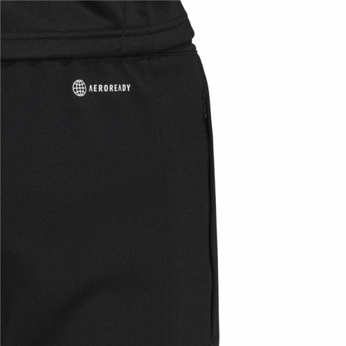 Football Training Trousers for Adults Real Madrid C.F. Condivo 22 Black Men image 5