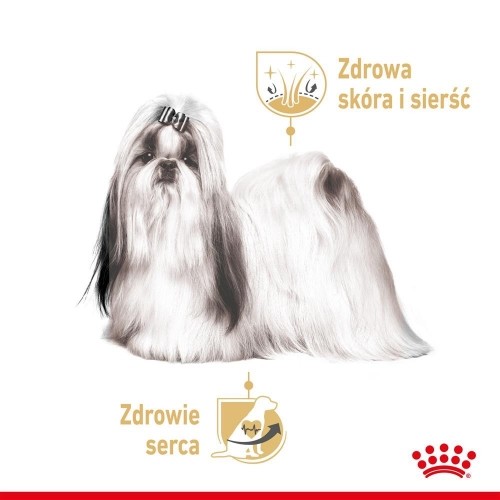 ROYAL CANIN Shih Tzu Adult - wet dog food - 12 x 85g image 5