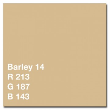 Colorama background 1,35x11m, barley (514)