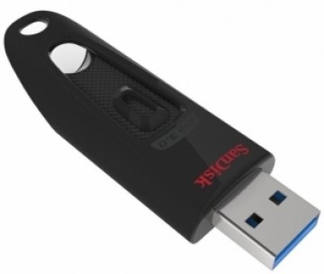 SanDisk Ultra 256GB