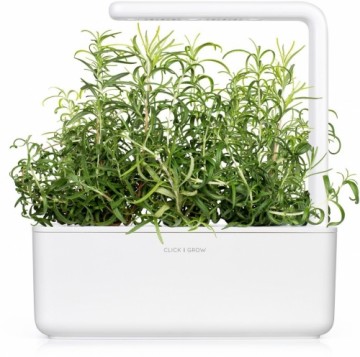 Click & Grow Smart Garden uzpilde Rozmarīns 3gb.