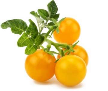 Click & Grow Smart Garden refill Yellow Mini Tomato 3 шт