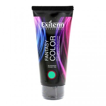 Permanent Dye Fantasy Exitenn Green (100 ml)