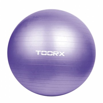 Toorx Гимнастический мяч AHF-013 D75cm su pompa