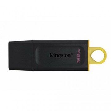 USB Zibatmiņa Kingston DTX/128GB