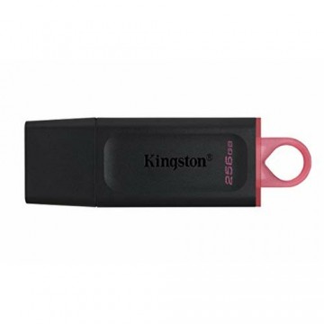 USВ-флешь память Kingston DTX/256GB 256 GB