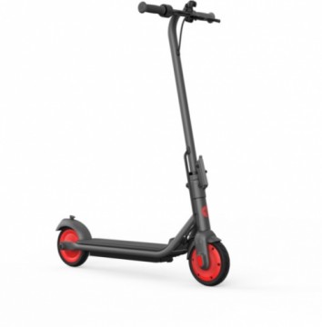 Segway Ninebot eKickscooter ZING C20, grey