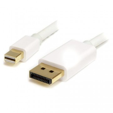 Кабель DisplayPort Mini на DisplayPort Startech MDP2DPMM2MW          (2 m) Белый 4K Ultra HD