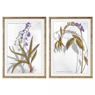 Glezna DKD Home Decor Botāniskie augi (50 x 2 x 70 cm) (2 pcs)